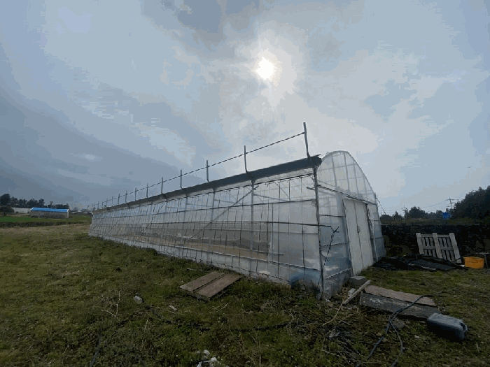 제시외건물(ㄱ)