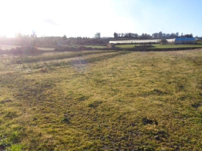 소재지 2. (소길리 525-2) 전경