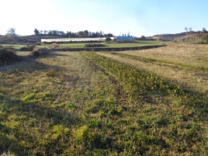 소재지 2. (소길리 525-2) 전경