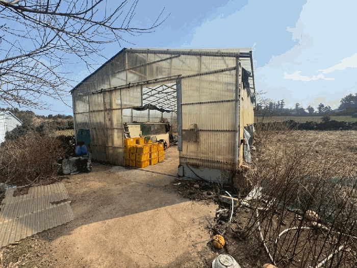 일련번호 6) 전경