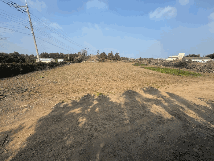 일련번호 2) 전경