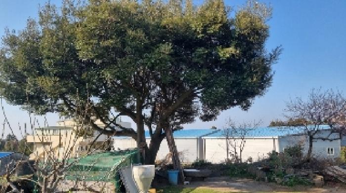 소재지4(함덕리 727) 전경2