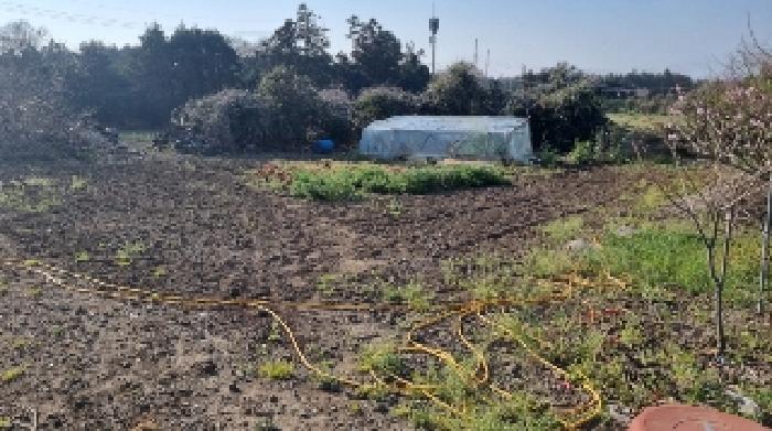 소재지4(함덕리 727) 전경3