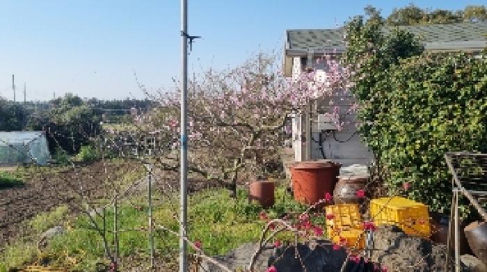 소재지4(함덕리 727) 전경4