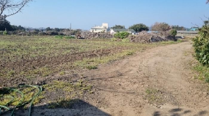 소재지2(함덕리 726-6) 전경