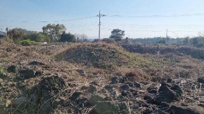 소재지4(함덕리 727) 지상에 소재한 공부상 표기 없는 묘