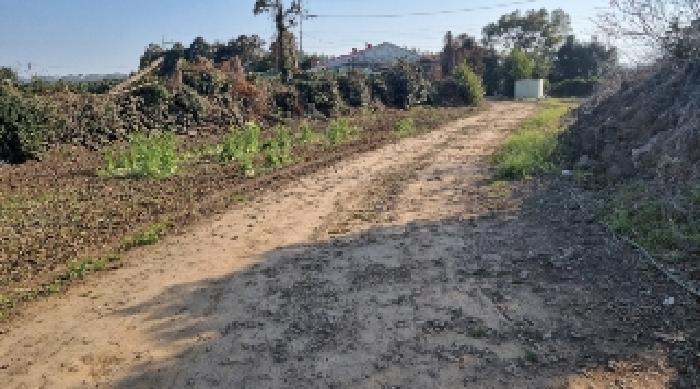 소재지1(함덕리 727-1) 전경2