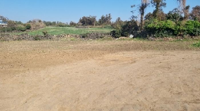 소재지1(함덕리 727-1) 전경1