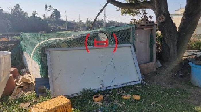 소재지4(함덕리 727) 지상에 소재한 제시외 건물(ㅂ)