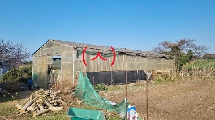 소재지4(함덕리 727) 지상에 소재한 제시외 건물(ㅅ)