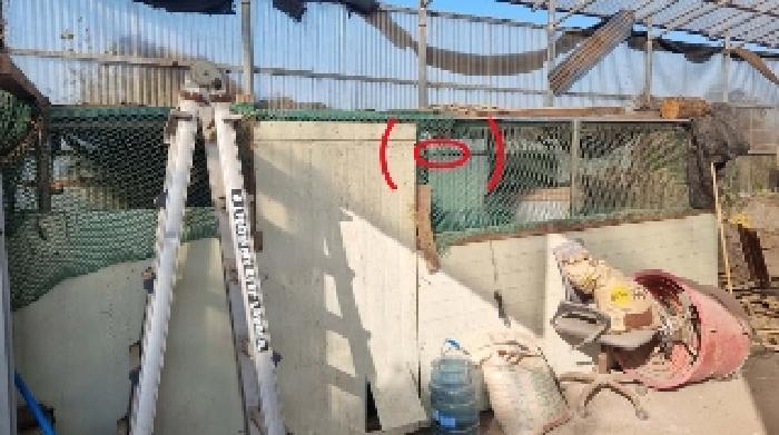 소재지4(함덕리 727) 지상에 소재한 제시외 건물(ㅇ)