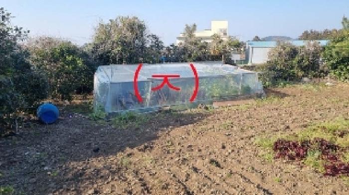 소재지4(함덕리 727) 지상에 소재한 제시외 건물(ㅈ)