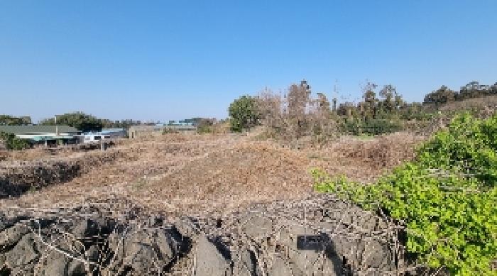 소재지1(함덕리 727-1) 지상에 소재한 공부상 표기 없는 묘