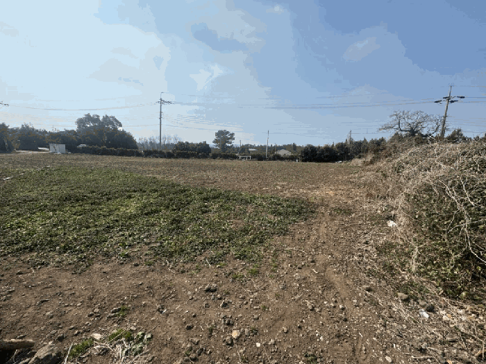 일련번호 5) 전경