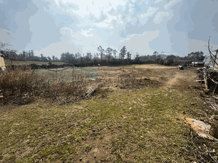 일련번호 4) 전경