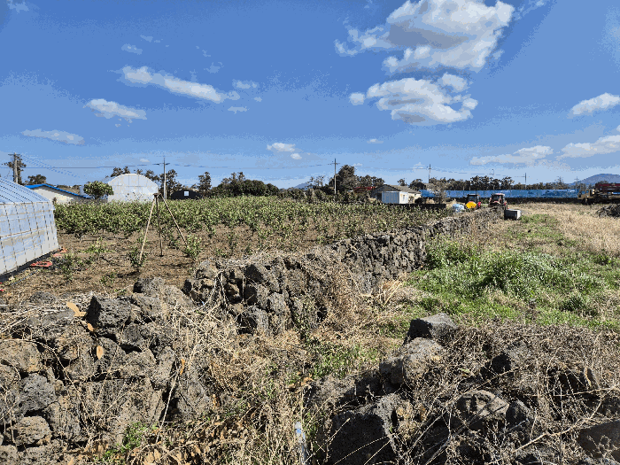 기호(3) 지상 제시외물건(ㅁ) 담장2