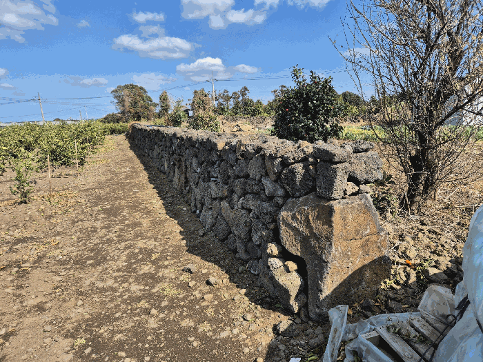 기호(3) 지상 제시외물건(ㅁ) 담장1