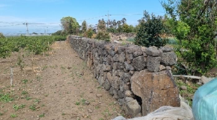 소재지3(함덕리 2129-1) 전경3