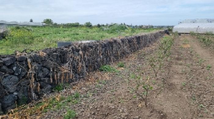 소재지2(함덕리 2129) 전경3