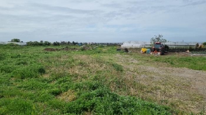 소재지2(함덕리 2129) 전경1