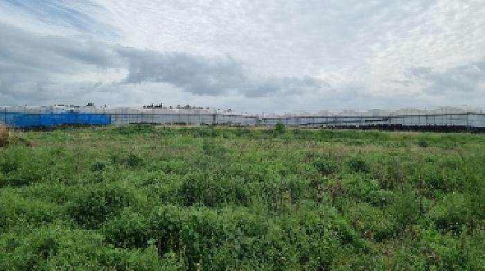 소재지1(함덕리 2125) 전경1