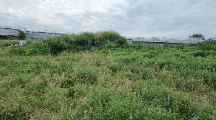 소재지1(함덕리 2125) 전경2