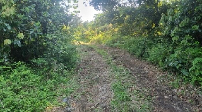 소재지3(하천리 2042) 전경4