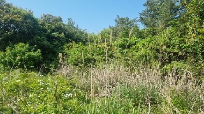 소재지2(하천리 2043) 전경1