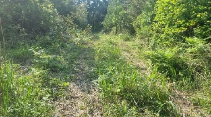 소재지1(하천리 2044) 전경3