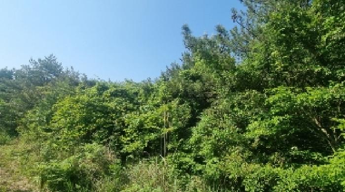 소재지1(하천리 2044) 전경2