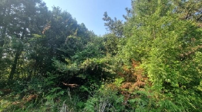 소재지1(하천리 2044) 전경1