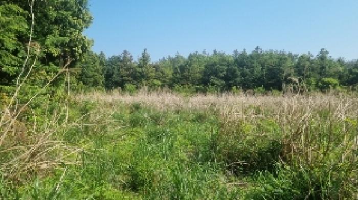 소재지4(하천리 2041) 전경1