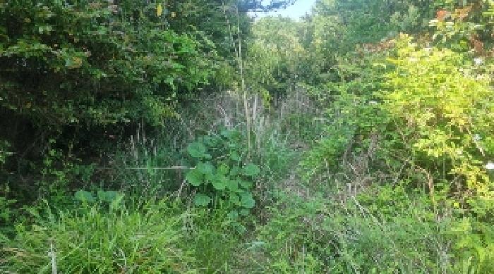 소재지3(하천리 2042) 전경1