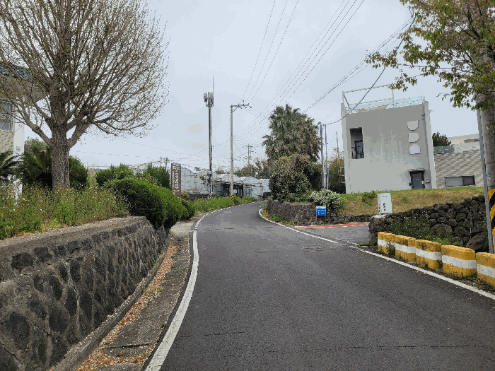 본건 북측 접면도로변