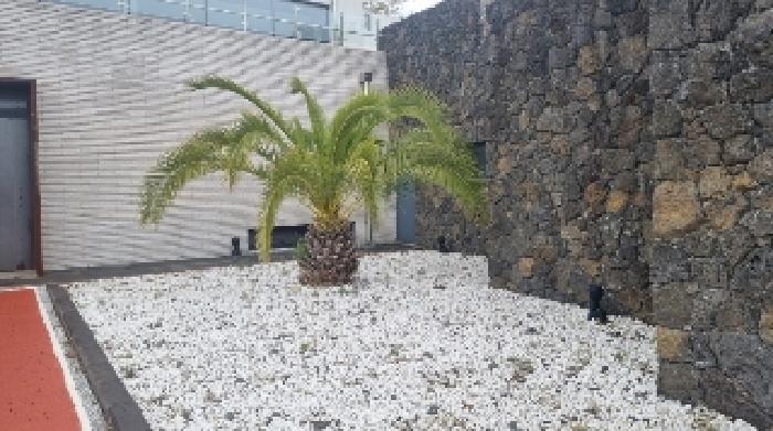 소재지1(호근동 1631-1) 전경8