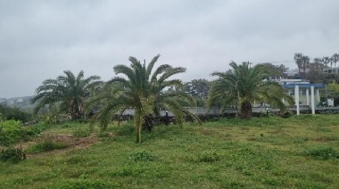 소재지1(호근동 1631-1) 전경4