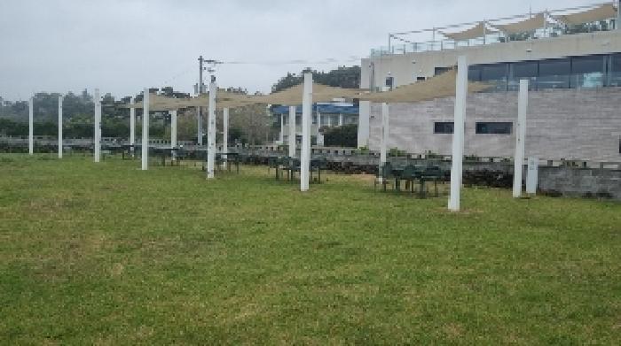 소재지1(호근동 1631-1) 전경6