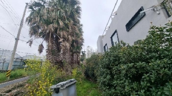 소재지1(호근동 1631-1) 전경9