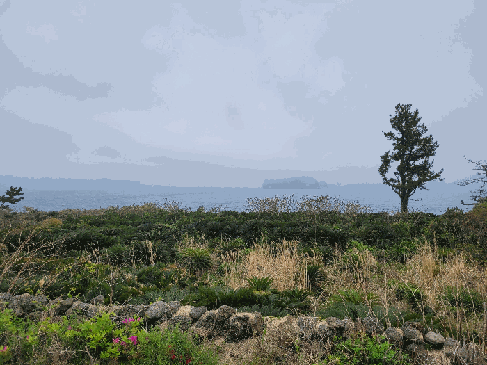 본건 남측 조망