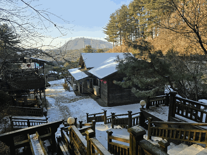 본건 기호(6)
