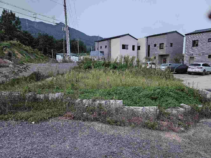 제시 목록 6 전경 