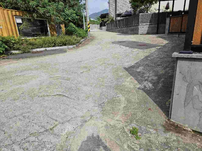 제시 목록 13 전경