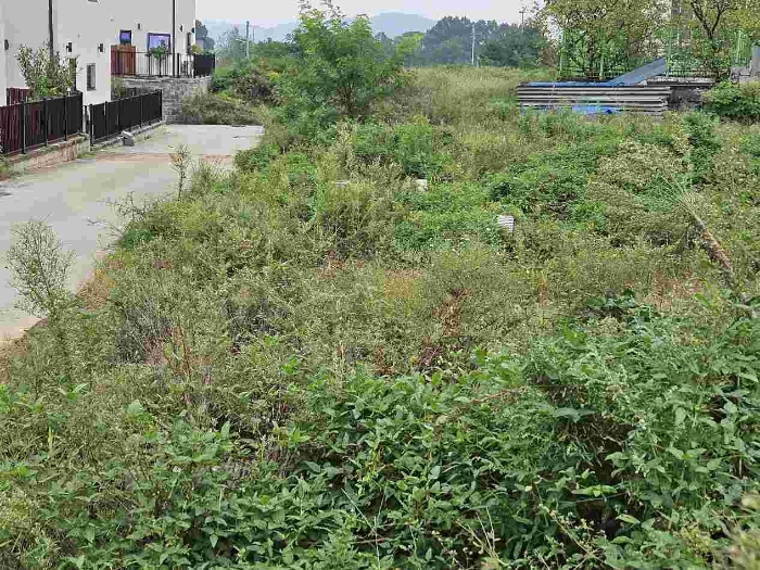 제시 목록 21 전경