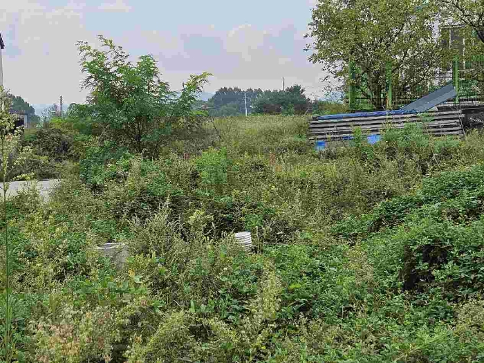 제시 목록 21 전경