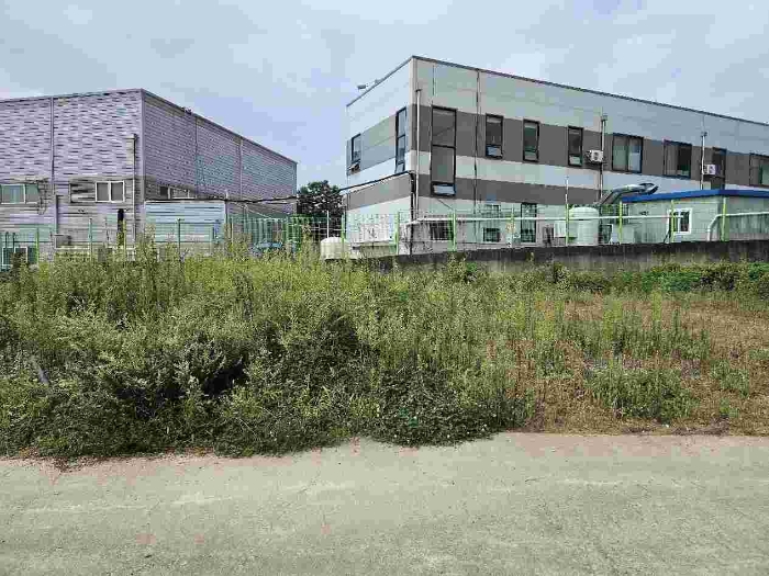 제시 목록  29 전경