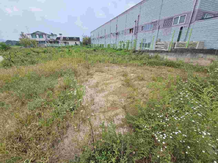 제시 목록  30 전경