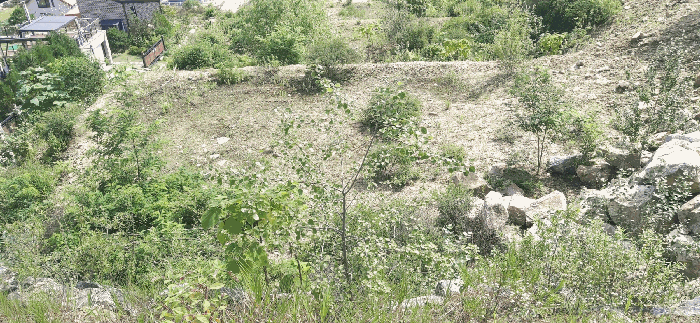 [ 본건(10) 전  경 ]