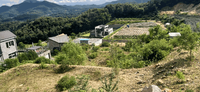 [ 본건(15) 전  경 ]