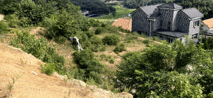 [ 본건(18) 전  경 ]