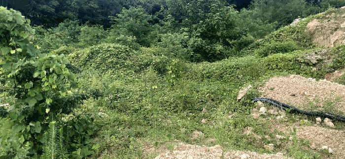 [ 본건(26) 전  경 ]